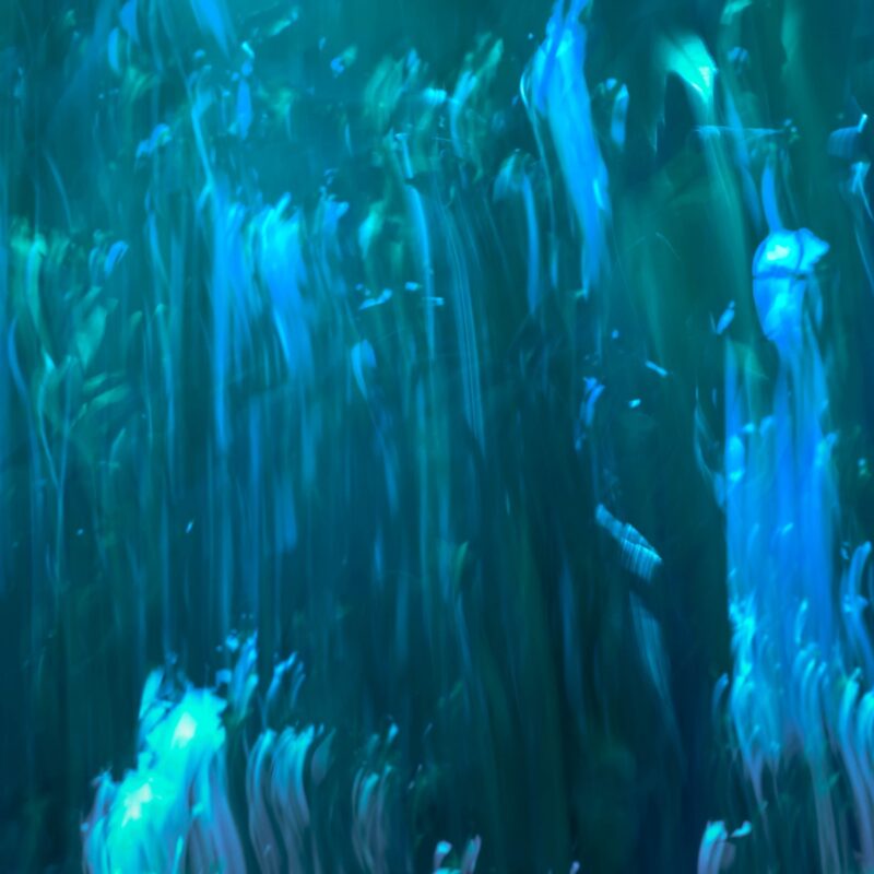 Crystalline Dream