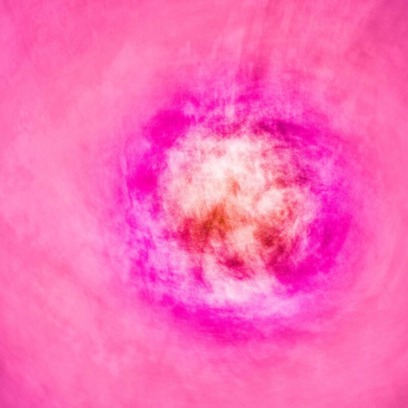 Cellular Conflagration