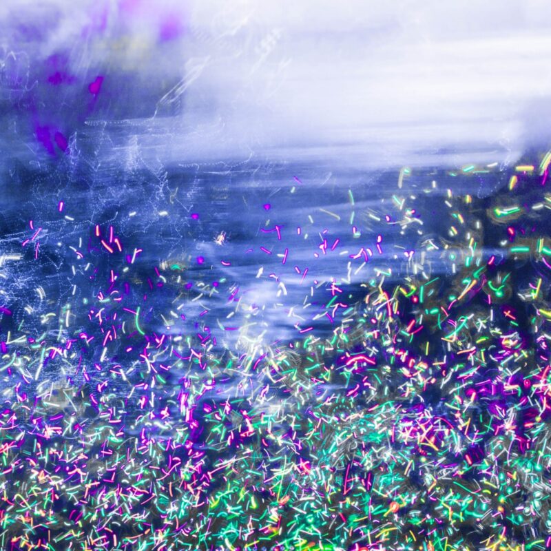 Wildberry Bloom