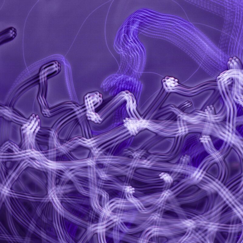 Ethereal Eels