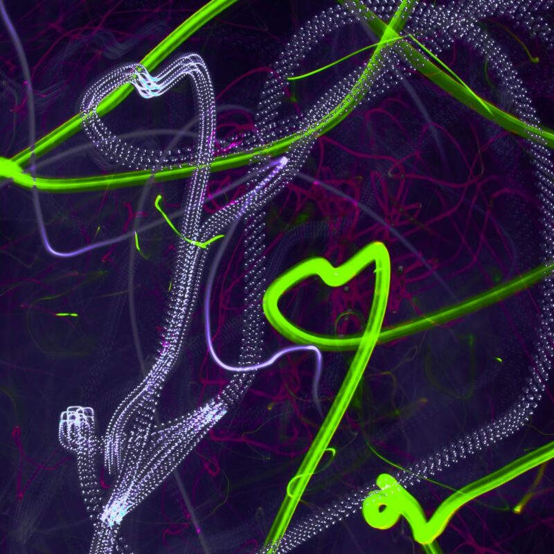 Bent Love