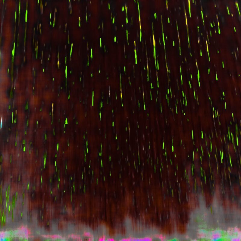 Acid Rain