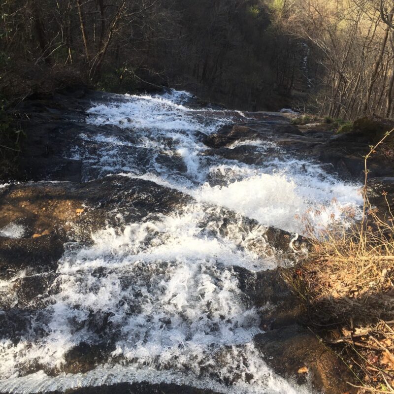 Down Amicalola