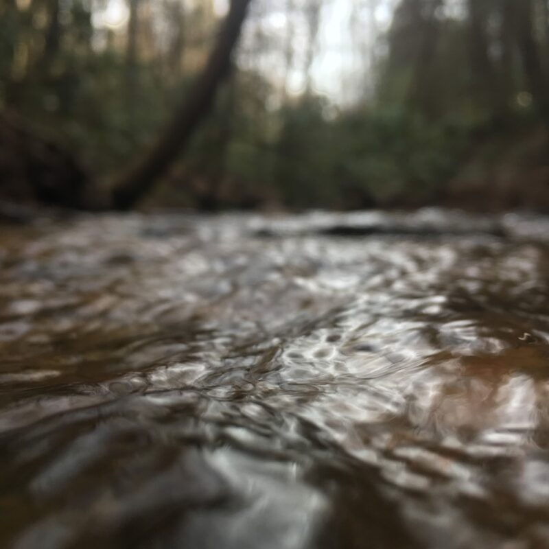 Justus Creek