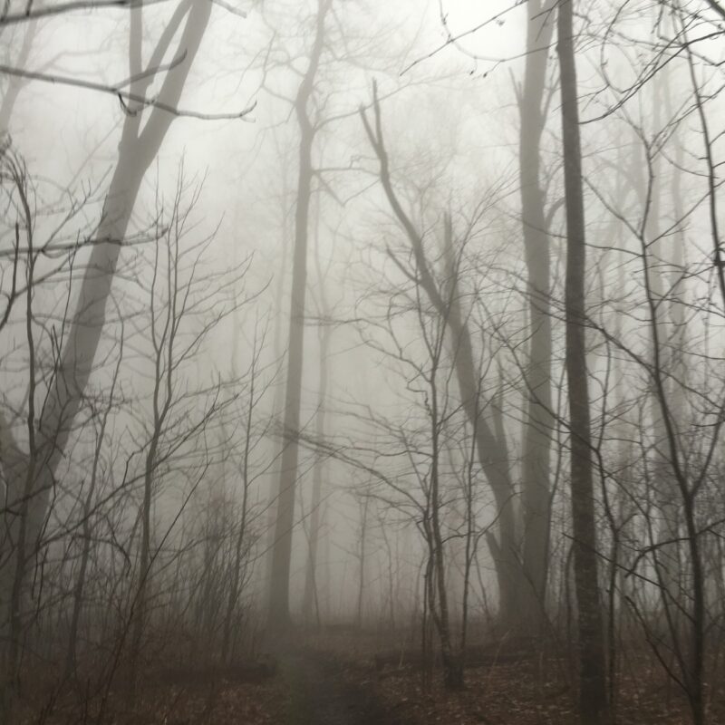 Gloomy Mist