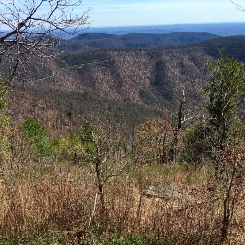 Tray Mountain