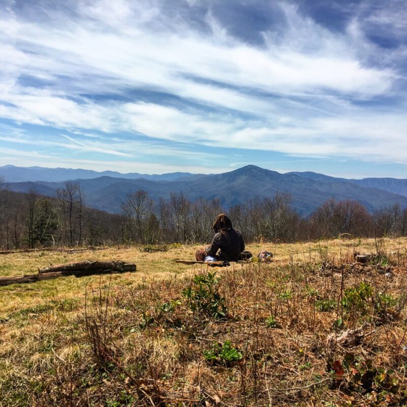Forrest Gazing on The Smokies