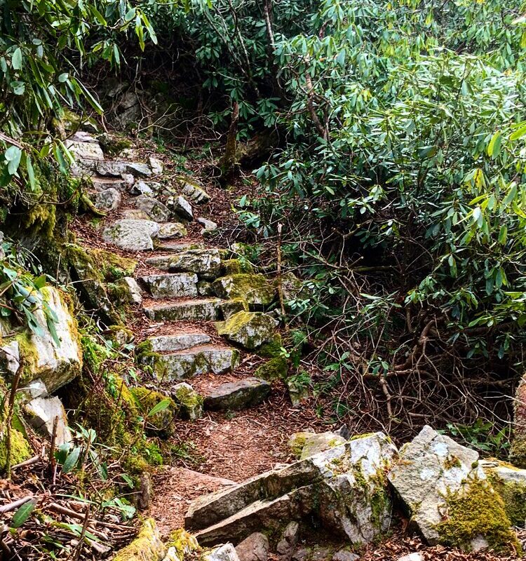 Stranglethorn Steps