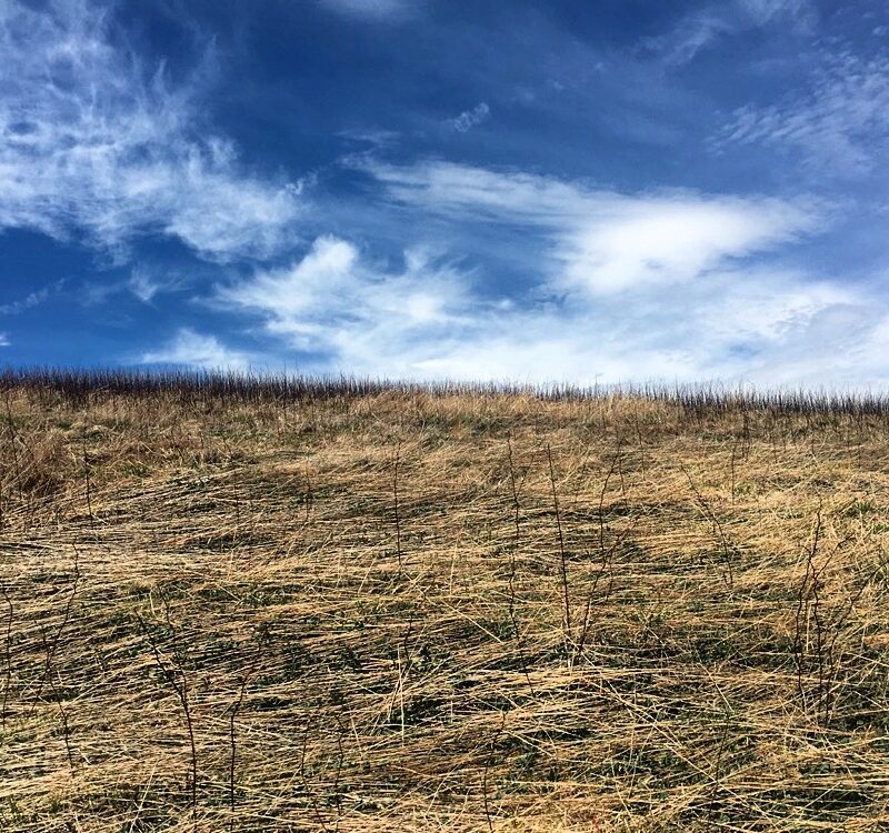 Bald Divide