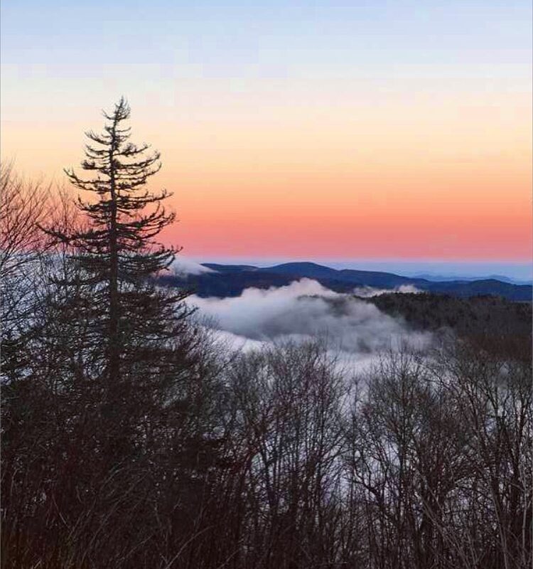 High Up in the Smokies
