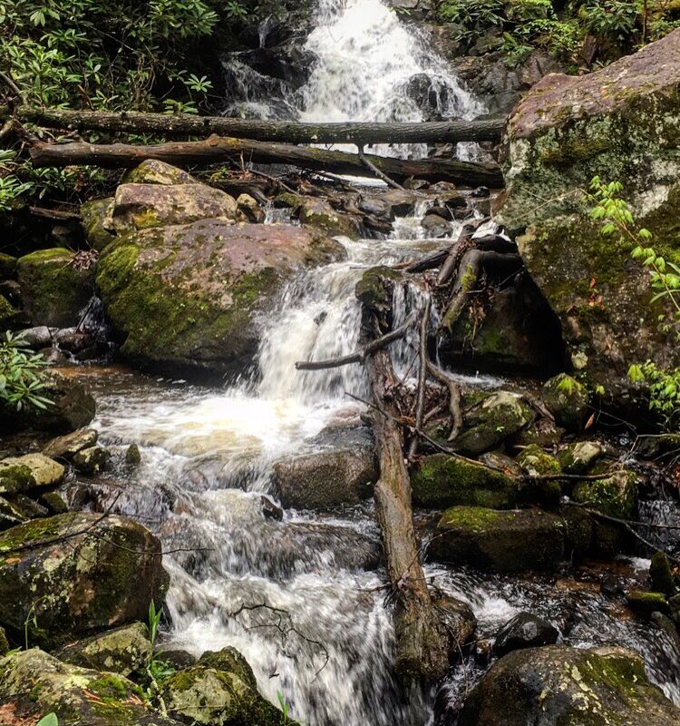 Comer's Creek Falls