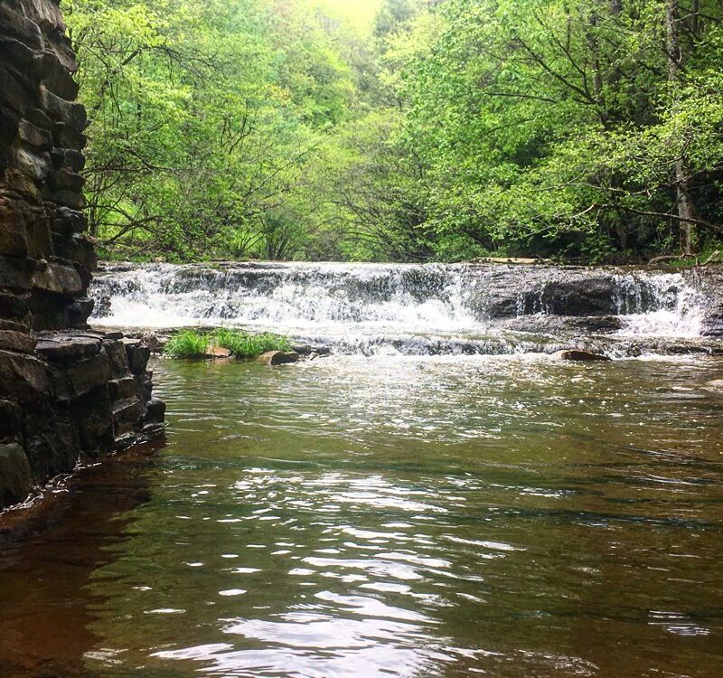 Laurel Creek