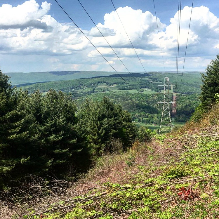 Power Line Vantage
