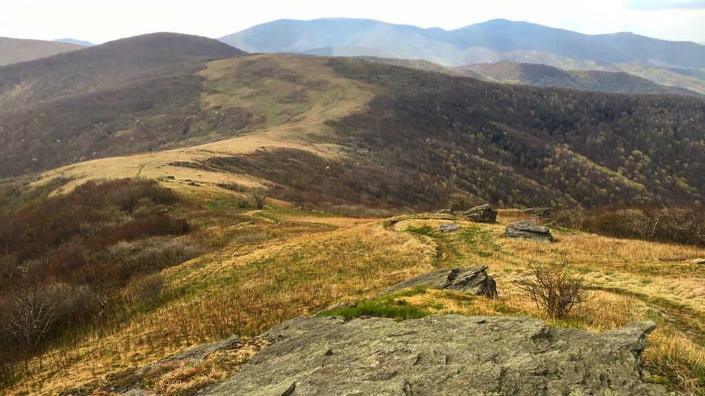 One Third In: Green Tunnels, Mindfulness, Comorbidities
