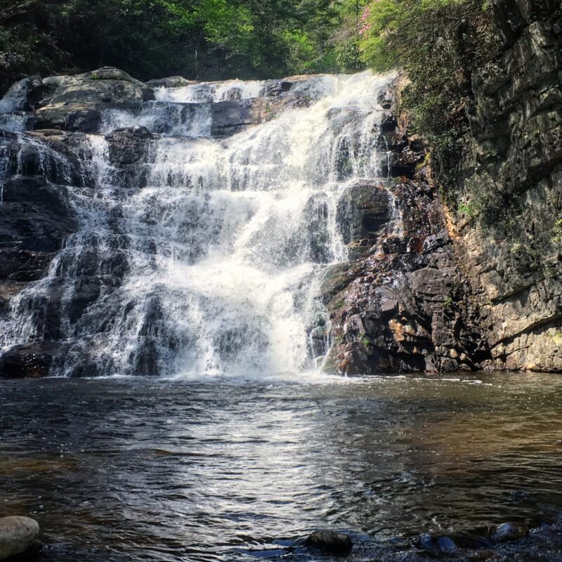 Fishing at Laurel Falls