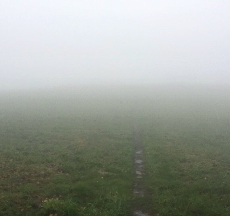 Soupy Steps
