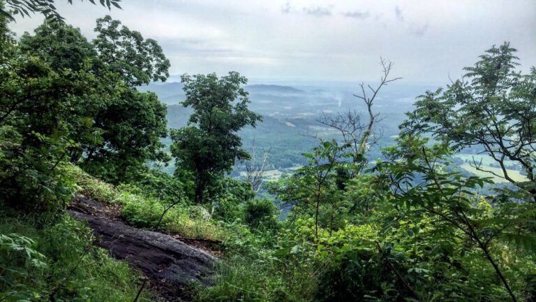 The Appalachian Trail: Overall Musings