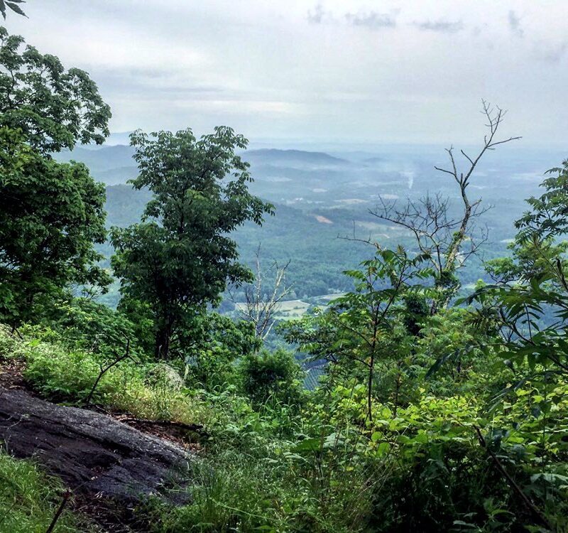 Three Ridges Wilderness