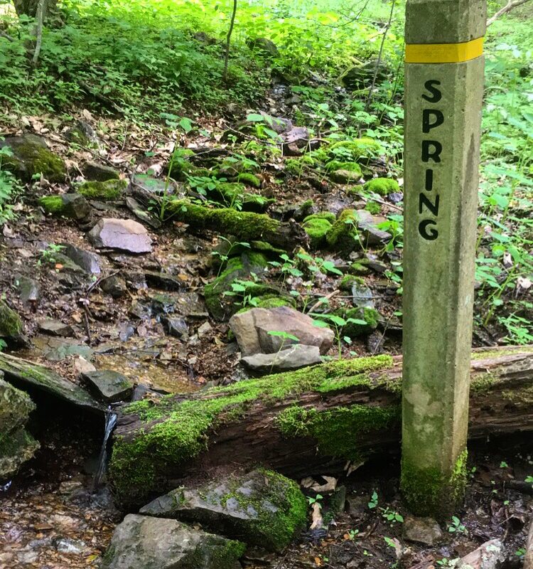 Spring in Shenandoah