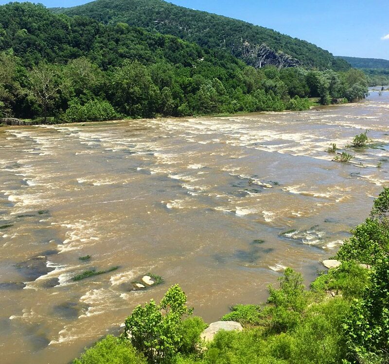 Shenandoah River