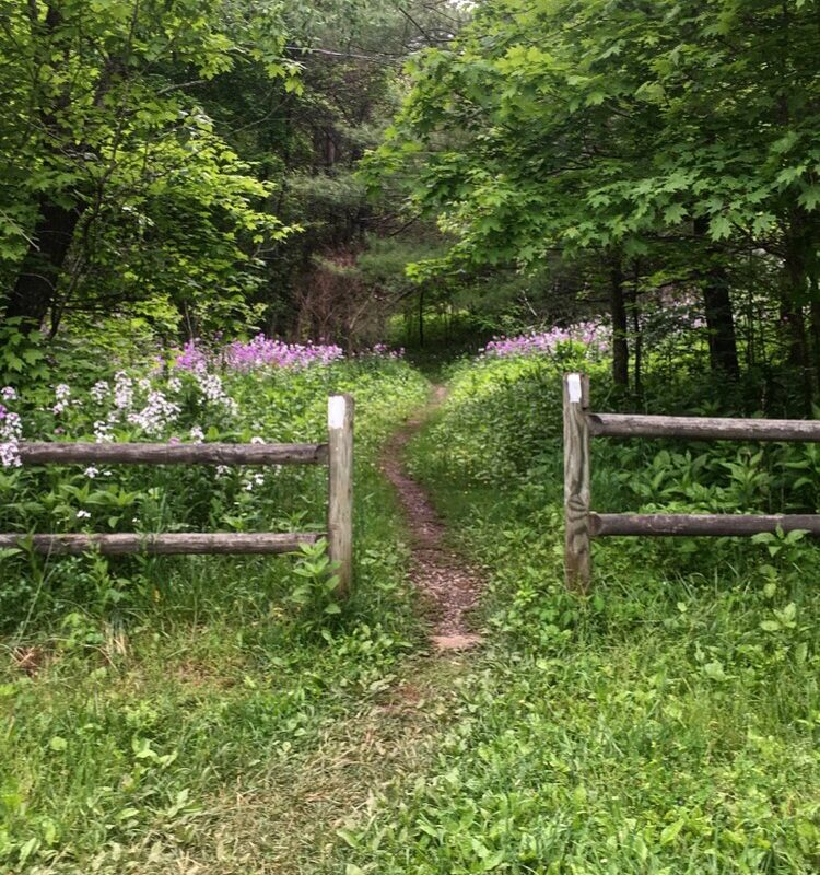 Inviting Way