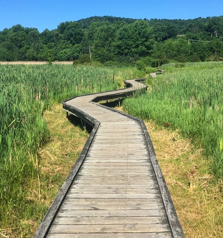 Jersey Boardwalks