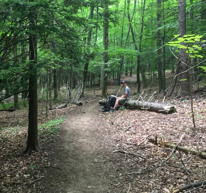 Earnhardt in the Sterling Forest