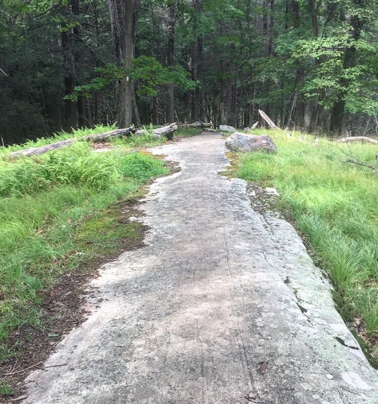 Rock Walk in Harriman