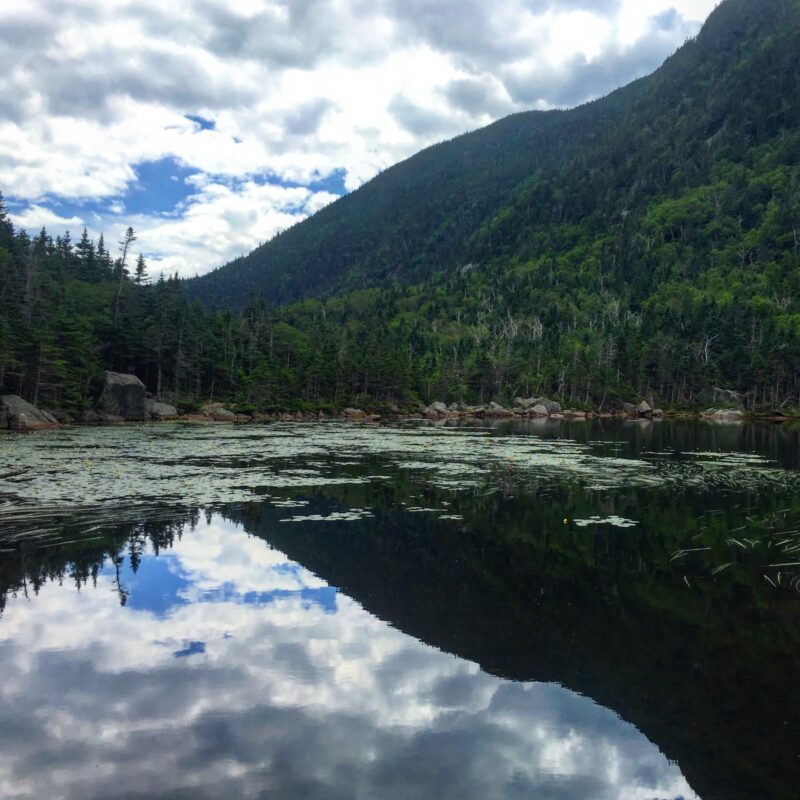 Reflections at Carter Notch
