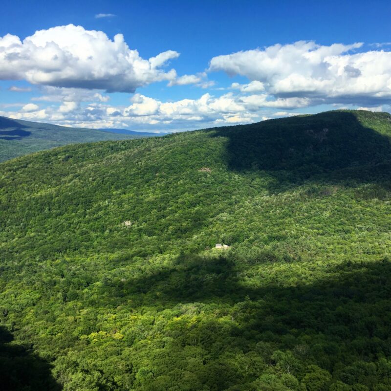 Forested Mountains