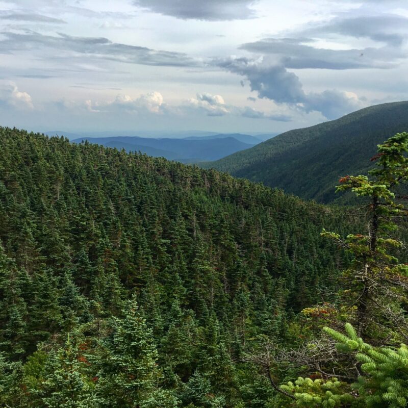Whites from Mousilauke