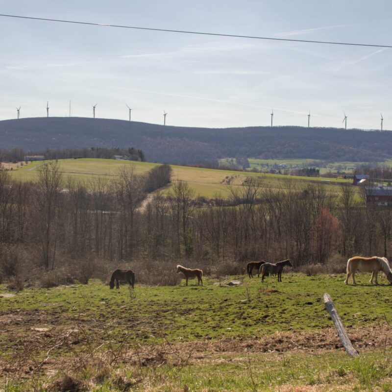 PA's Hilly Farmland