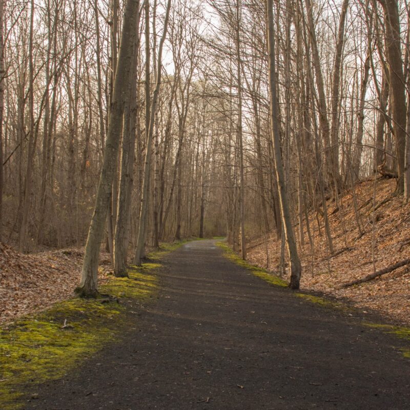 South Hill Recreation Way