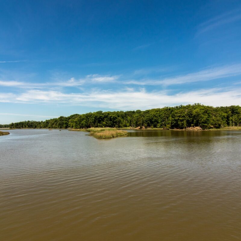 College Creek