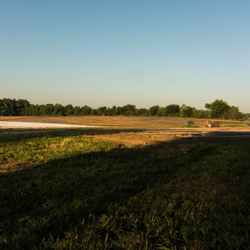 Shadow Across the Farm