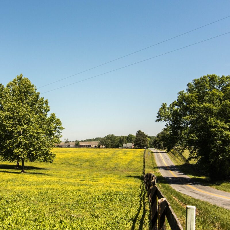 Pastoral Path