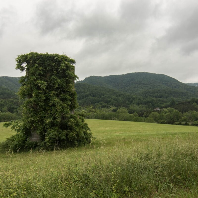 Grassy Obelisk