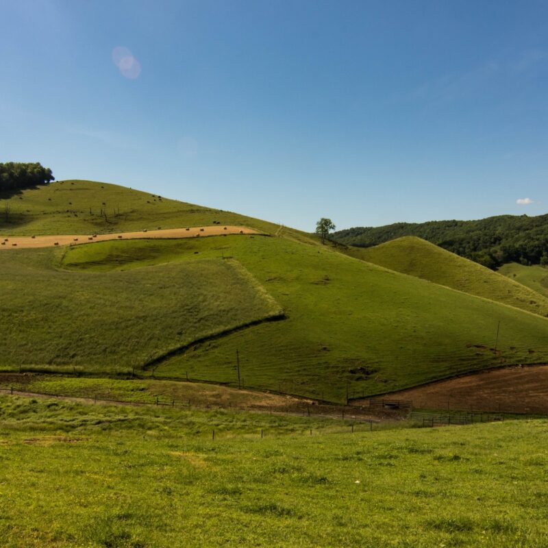 Pastoral Paradise