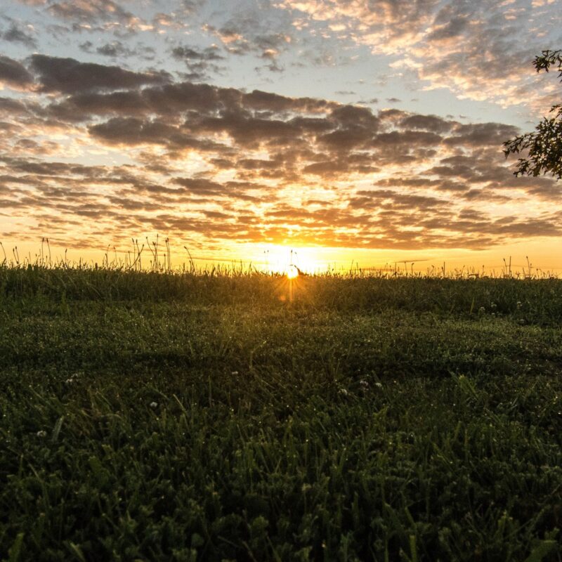 Sunrise at Idle Hour