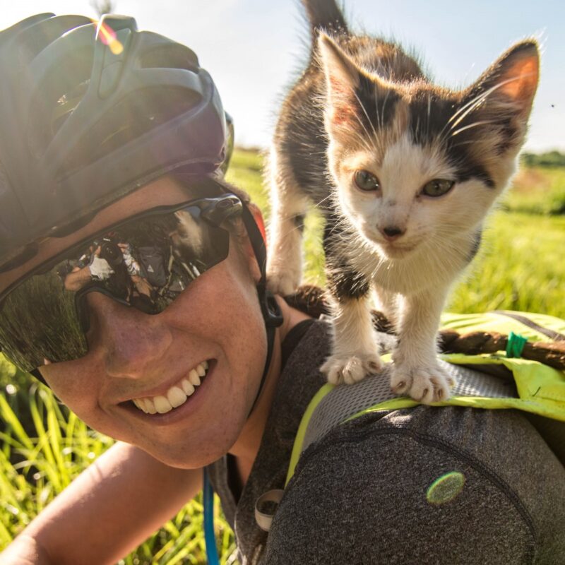 Friendly Kitten