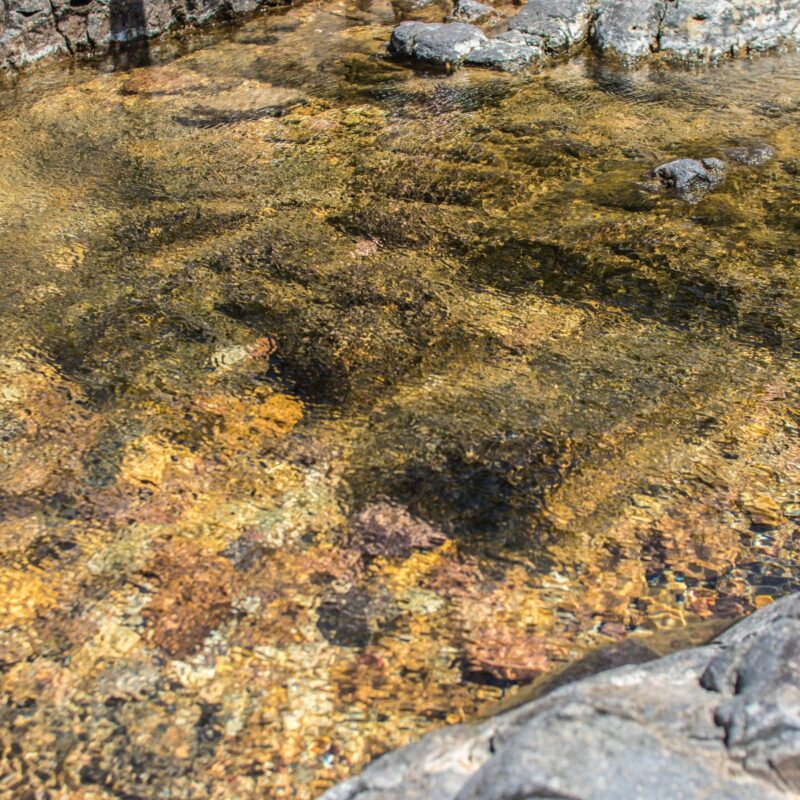 Rippling Water