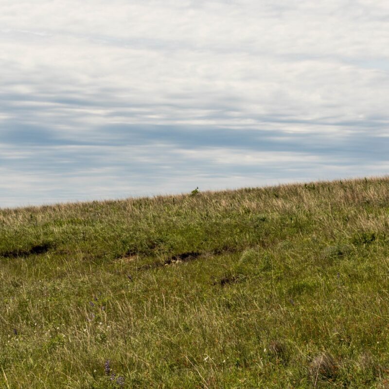 A Hill