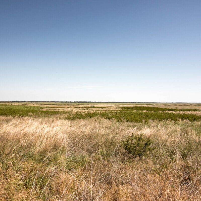 Quivira Refuge Overlook