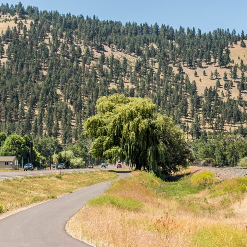 Bike Path to Missoula Bliss
