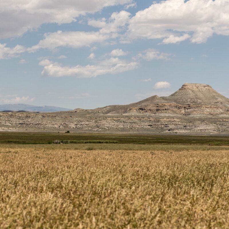 Crowheart Butte