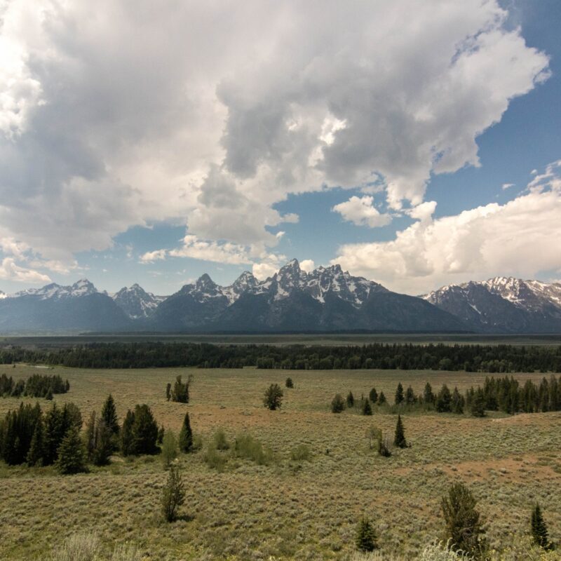 Tetons in Profile