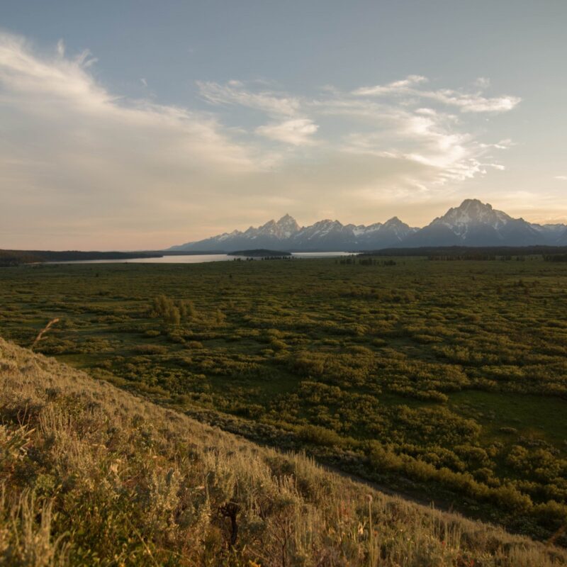 Tetons & Jackson Lake from afar