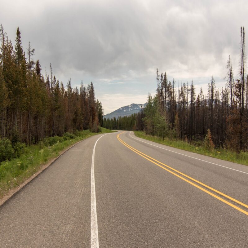 Navigating Yellowstone's Burn Zones