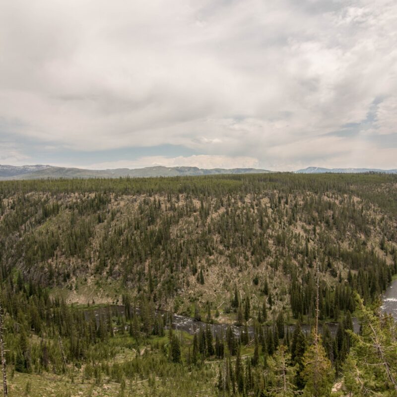 The Lewis River Canyon