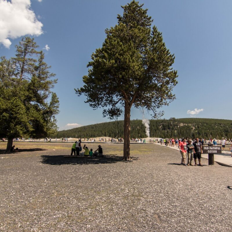 The Old Faithful Crowd